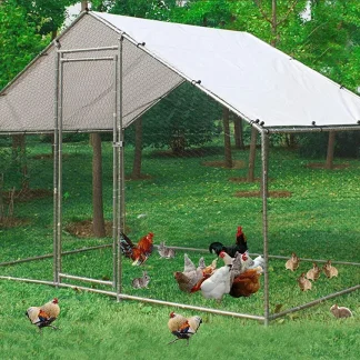 Metal Walk-In Chicken Run Cage With Cover, 10'L X 6.6'W X 6.56'H